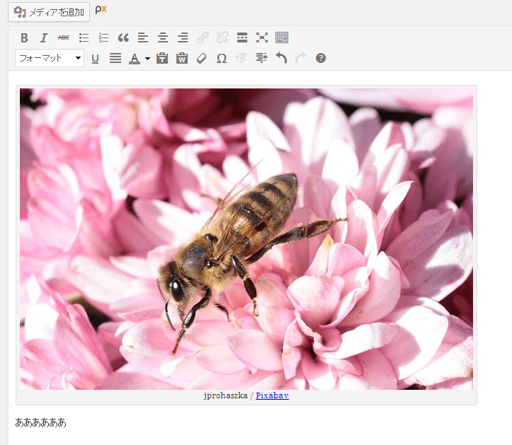 無料で自由に使えるパブリックドメインの画像をWordPressで簡単に挿入するプラグインPixabay Images (4)