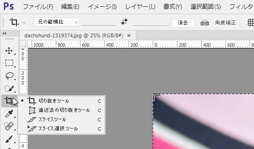 Photoshopで固定の比率 アスペクト 縦横比 で画像を切り取りトリミングする方法 9inebb